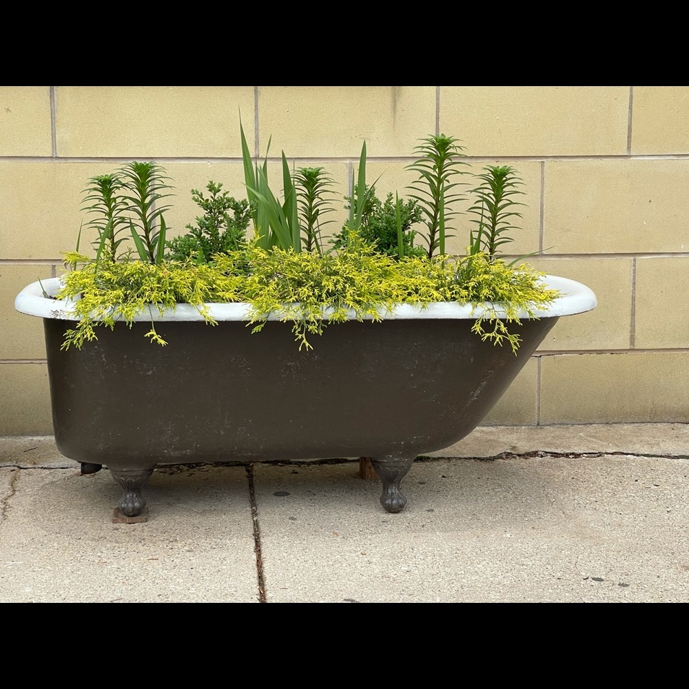 Meet your Posher, Eugenia